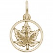 Maple Leaf-1