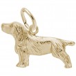 Springer Spaniel-1
