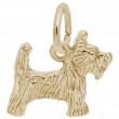 Scottie-1