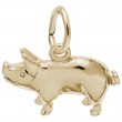 Pig-1