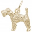 Kerry Blue Terrier-1