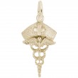 Caduceus Nurse Hat-1