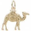 Camel-1