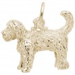 Labradoodle-1
