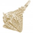 Conch Shell-1