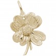 Dogwood-1