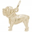 Bulldog-1