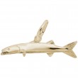 Barracuda-1