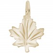 Maple Leaf-1