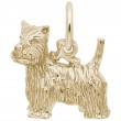 West Highland Terrier-1