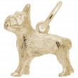 French Bulldog-1