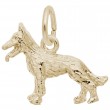 German Shepherd-1