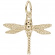 Dragonfly-1