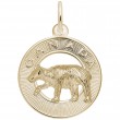 Canada Bear-1