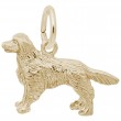 Golden Retriever-1