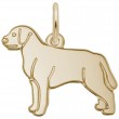 Labrador Retriever-1