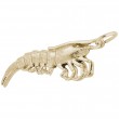 Shrimp-1
