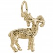 Big Horn Sheep-1