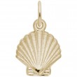 Shell-1