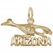 Arizona Road Runner-1