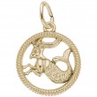 Capricorn-1