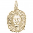 Lion-1