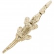 Alligator-1