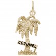 Cozumel Palm W/Sign W/Bl.Paint-1