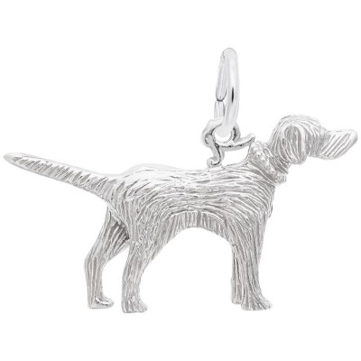 https://www.sachsjewelers.com/upload/product/8102-Silver-Setter-RC.jpg