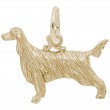 Irish Setter-1