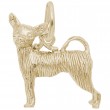 Chihuahua-1