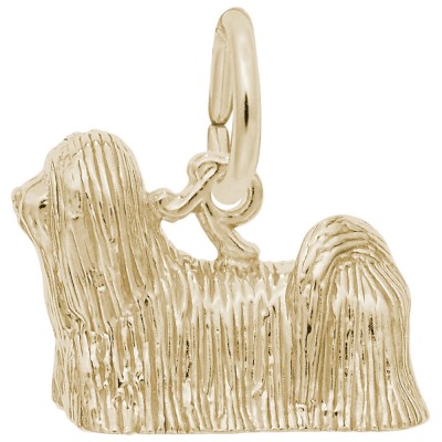 Lhasa Apso