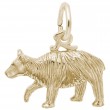 Black Bear-1