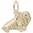 Walrus-1