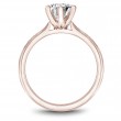Noam Carver Semi Mount Engagement Ring-2