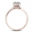 Noam Carver Semi Mount Engagement Ring-2