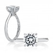 Solitaire Engagement Ring with Surprise Diamonds-1