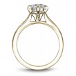 Noam Carver Semi Mount Engagement Ring-2
