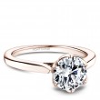 Noam Carver Semi Mount Engagement Ring-1