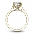 Noam Carver Semi Mount Engagement Ring-2