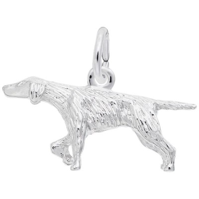 https://www.sachsjewelers.com/upload/product/0148-Silver-Pointer-RC.jpg