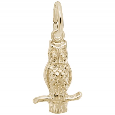 https://www.sachsjewelers.com/upload/product/0360-Gold-Owl-RC.jpg