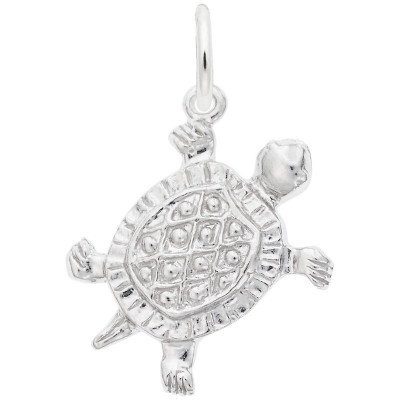 https://www.sachsjewelers.com/upload/product/0530-Silver-Turtle-RC.jpg