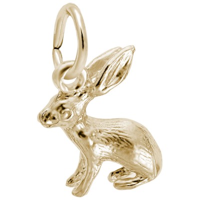 https://www.sachsjewelers.com/upload/product/0577-Gold-Bunny-RC.jpg