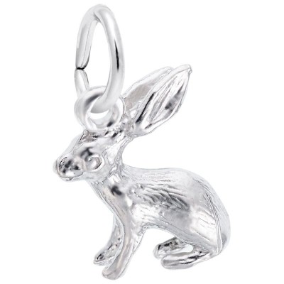 https://www.sachsjewelers.com/upload/product/0577-Silver-Bunny-RC.jpg