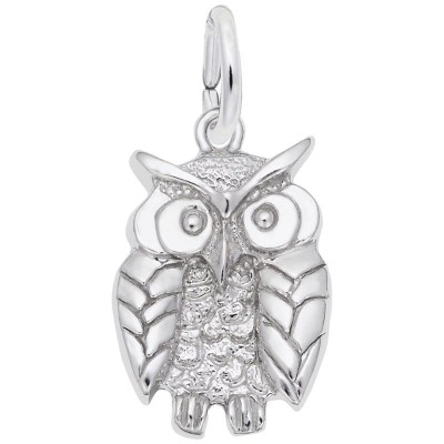 https://www.sachsjewelers.com/upload/product/1673-Silver-Wise-Owl-RC.jpg