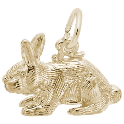 https://www.sachsjewelers.com/upload/product/2264-Gold-Rabbit-RC.jpg