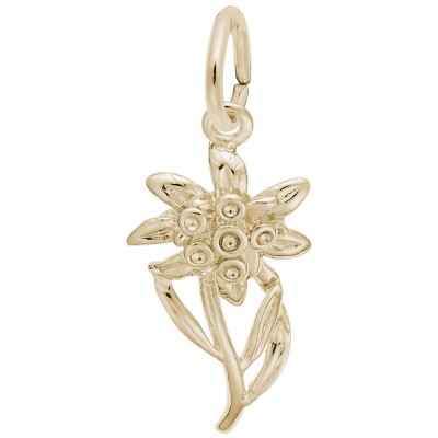 https://www.sachsjewelers.com/upload/product/2339-Gold-Edelweiss-RC.jpg