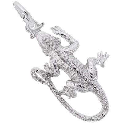 https://www.sachsjewelers.com/upload/product/6208-Silver-Iguana-RC.jpg