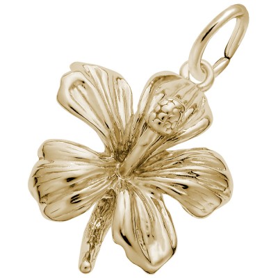 https://www.sachsjewelers.com/upload/product/6528-Gold-Hibiscus-RC.jpg